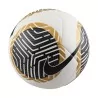 Ballon Nike Pitch Blanc Et Noir