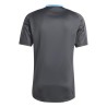 Maillot Entrainement Argentine Gris