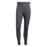 Pantalon Entrainement Argentine Gris