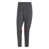 Pantalon Survetement River Plate GrisRouge