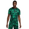 Maillot Nike Academy Pro Vert