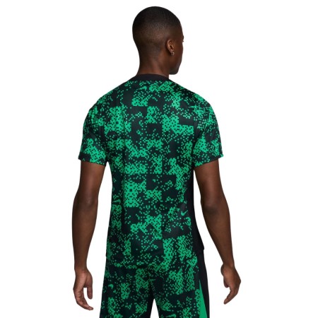 Maillot Nike Academy Pro Vert