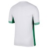 Maillot Nigeria Domicile 2024