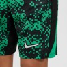 Short Nike Academy Pro Enfant Vert