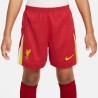 Kit Enfant Liverpool Domicile 202425