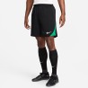 Short Entrainement Nike NoirVert