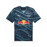 Maillot Leipzig Third 202425